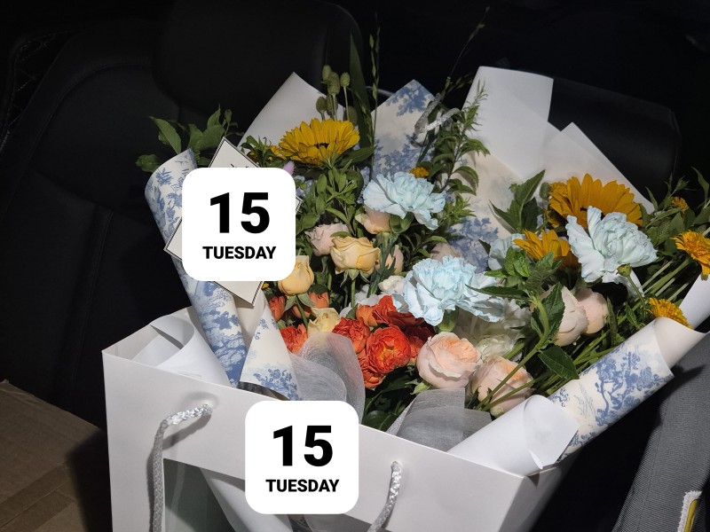 얼마일까요