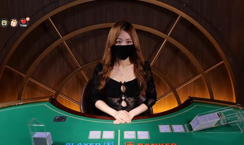 고양이같네