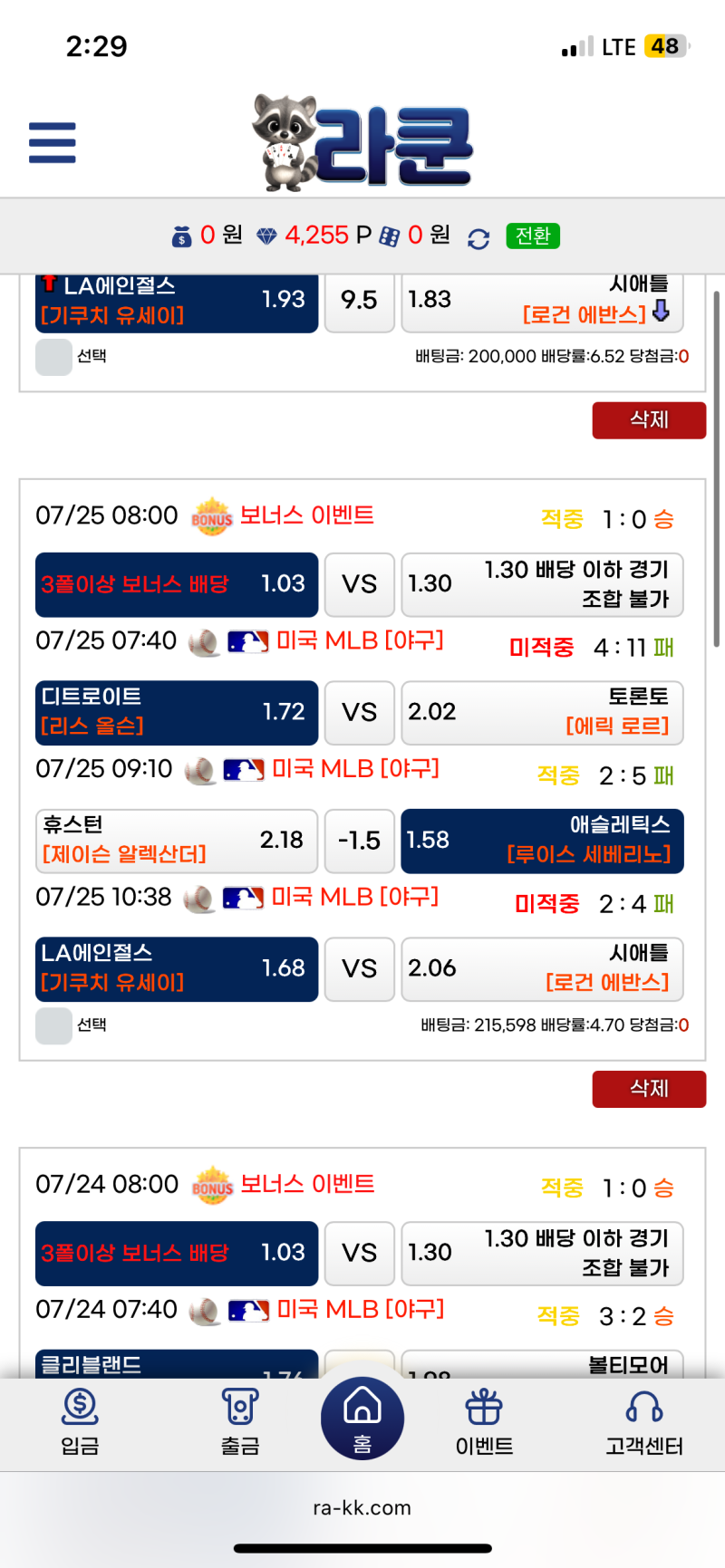 라쿤 사이트