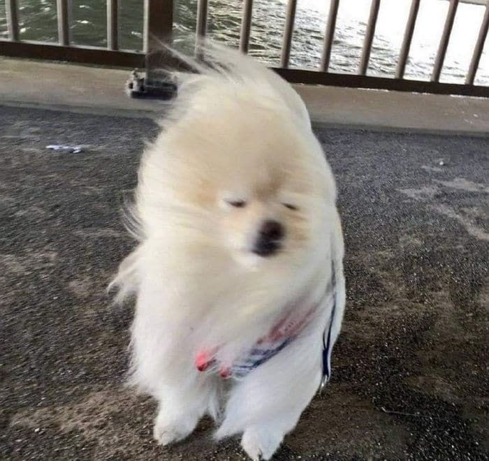 식곤증