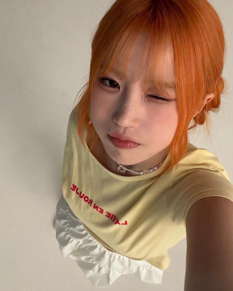 오늘 남농