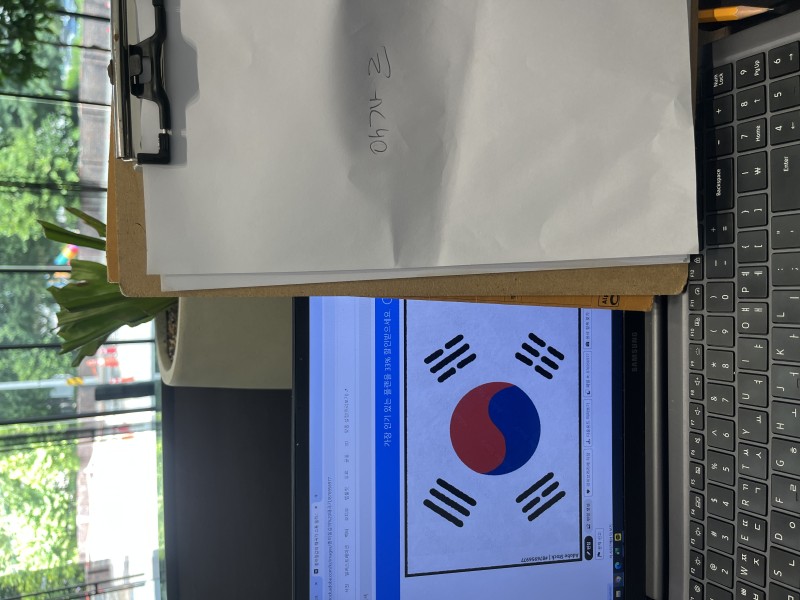 태극기 인증샷