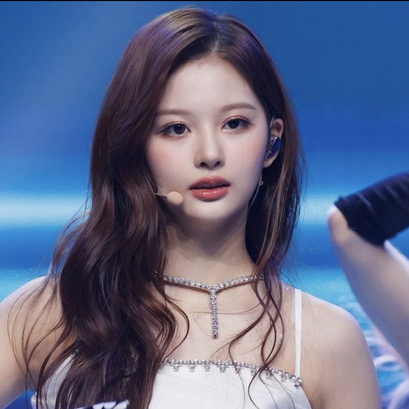 신청했습니다