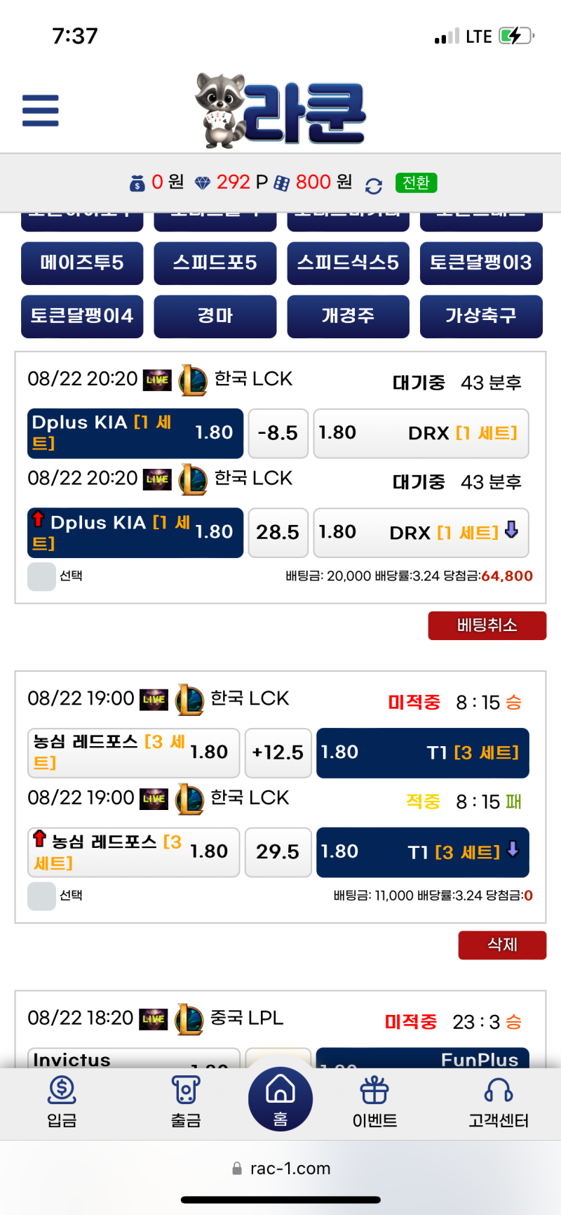 라쿤리뷰