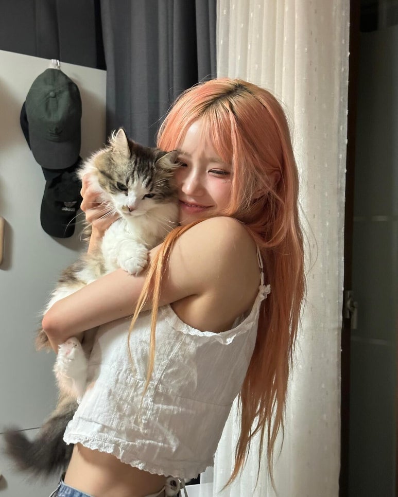 저녁 고민의