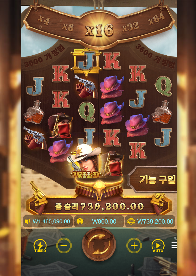 카우걸 땡큐