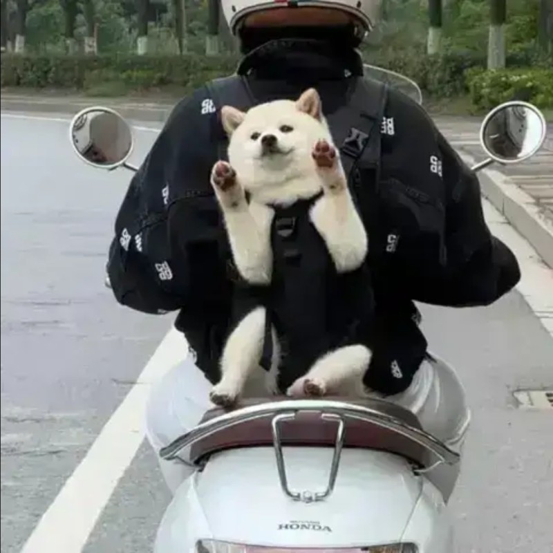 우왕 개기엽다