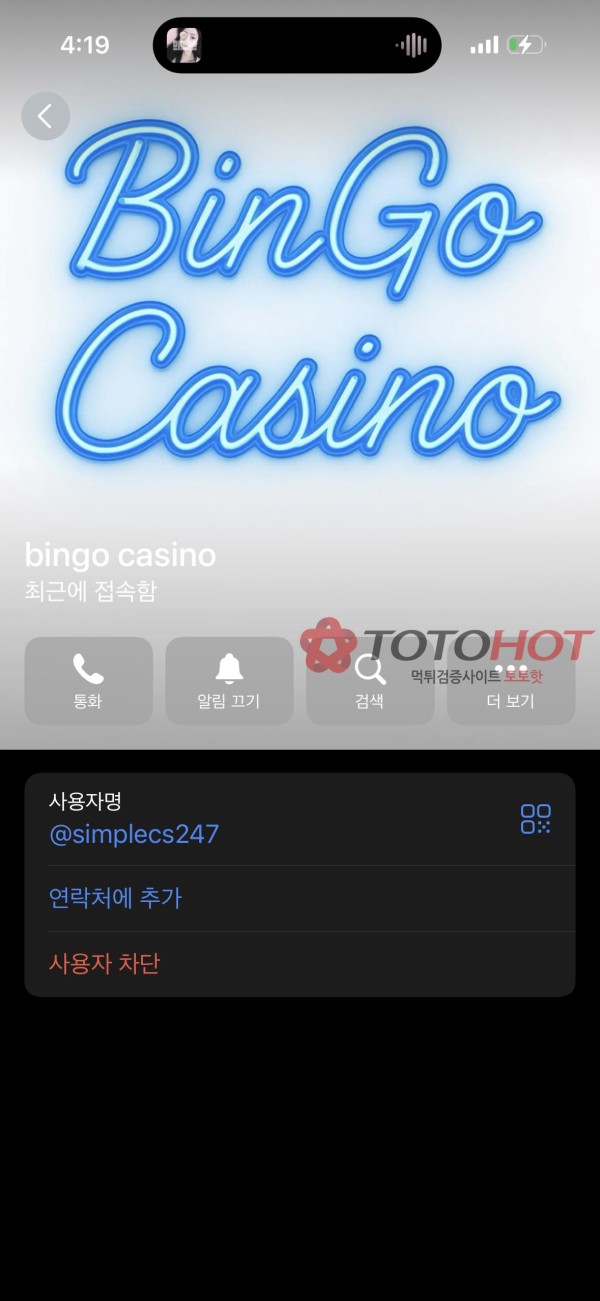 빙고카지노