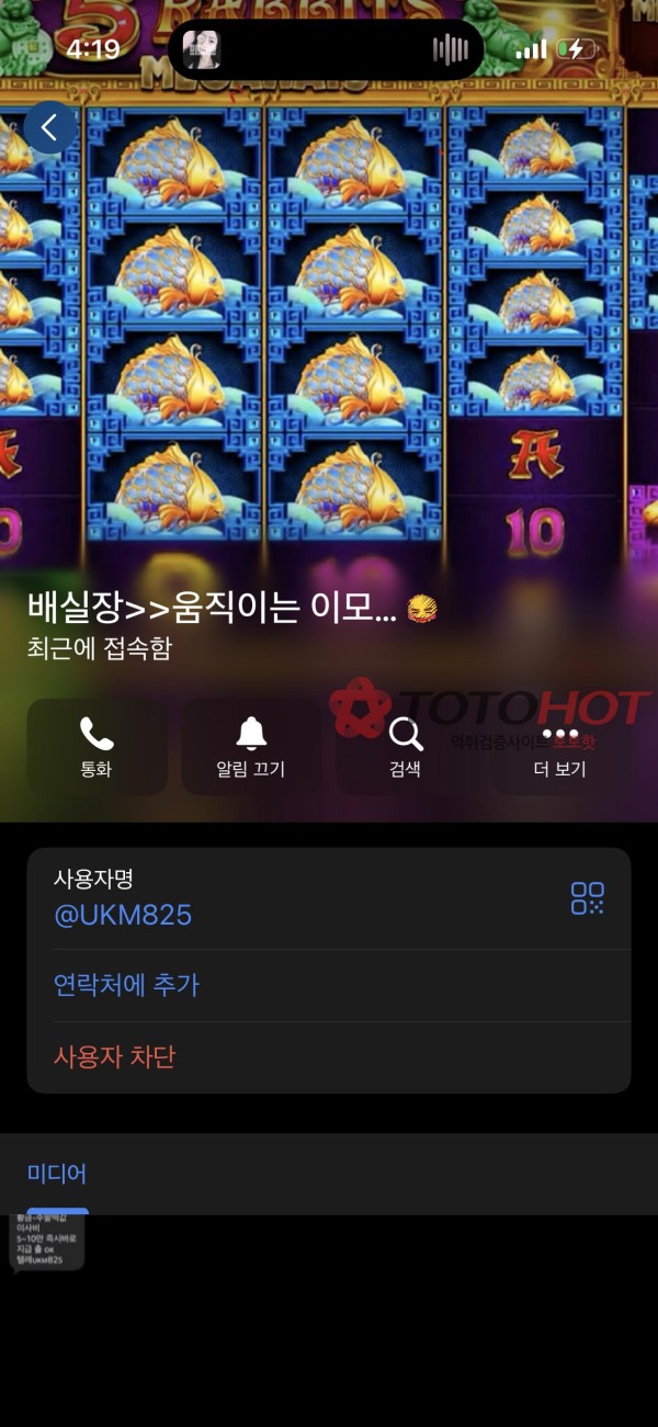 빙고카지노