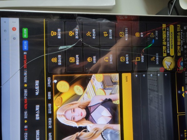 망고벳. 2980만원 먹티 조심하세요