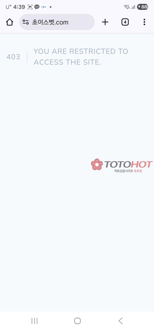초이스개먹싸