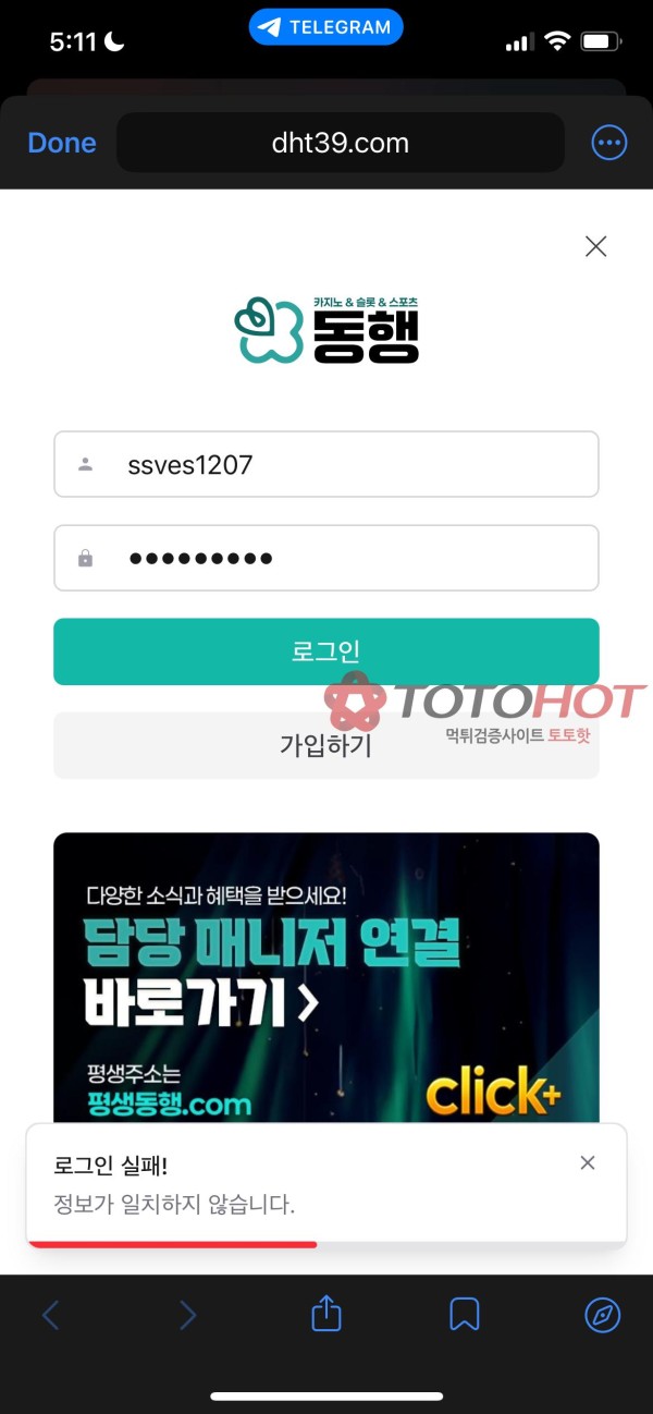 동행 먹튀