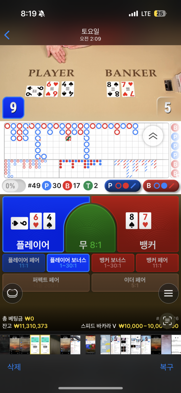 로로벳 먹튀