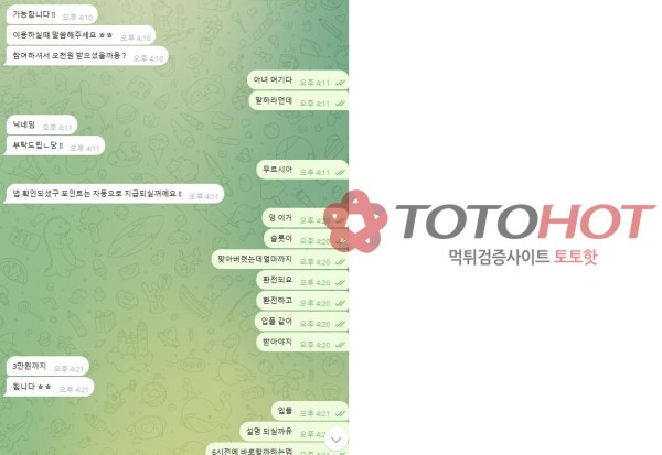 월하 먹튀