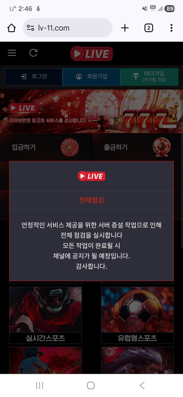 라이브