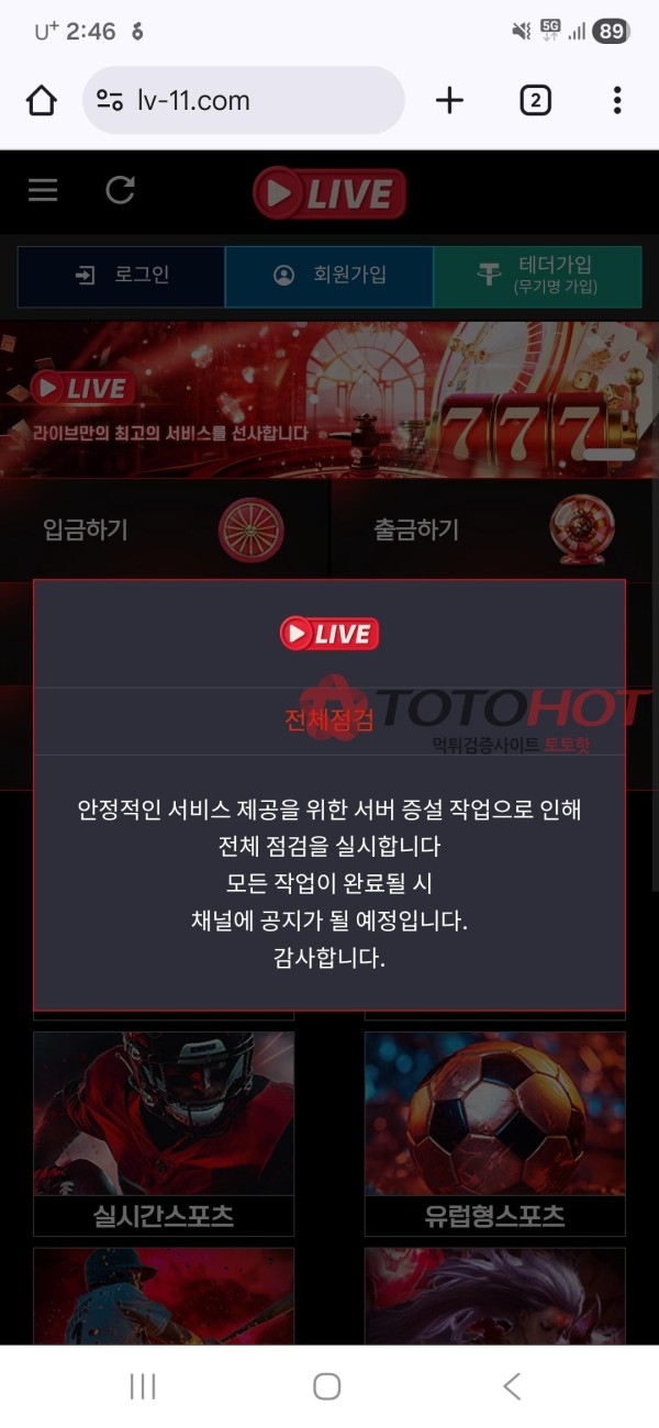 라이브