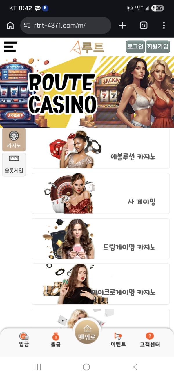 루트 바카라