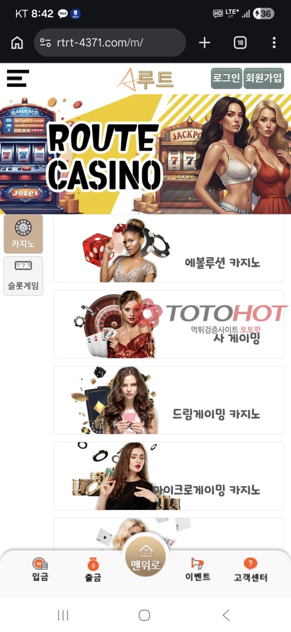 루트 바카라