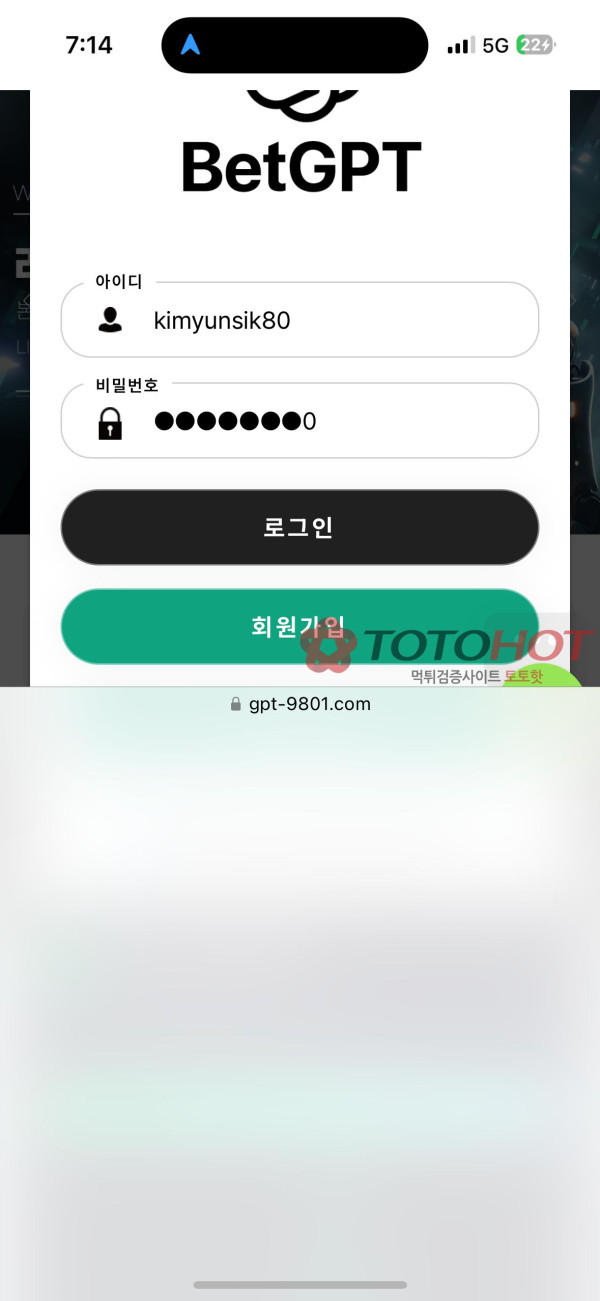 벳지피티 먹튀