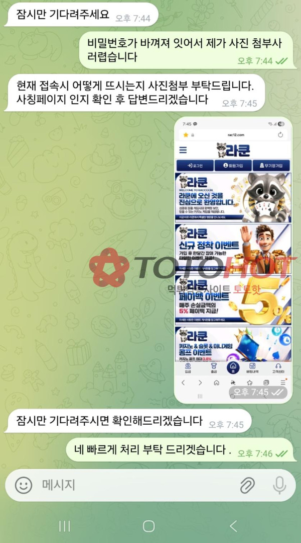 라쿤카지노