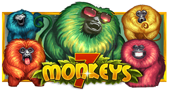 7 몽키