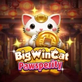 빅 윈 캣 파우스페리티