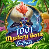 1001 미스터리 지니 포춘스