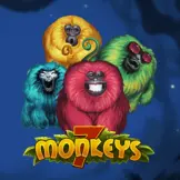 7 몽키스